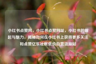 小红书点赞网，小红书点赞网址，小红书的崛起与魅力，揭秘如何在小红书上获得更多关注和点赞亿乐社区低价自营货源站