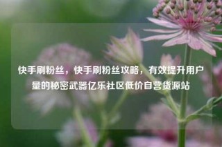 快手刷粉丝，快手刷粉丝攻略，有效提升用户量的秘密武器亿乐社区低价自营货源站