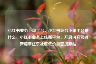 小红书业务下单平台，小红书业务下单平台是什么，小红书业务上线新平台，开启内容营销新篇章亿乐社区低价自营货源站