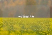 一手货源批发商