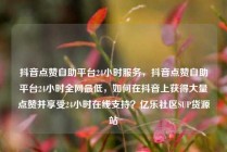 抖音点赞自助平台24小时服务，抖音点赞自助平台24小时全网最低，如何在抖音上获得大量点赞并享受24小时在线支持？亿乐社区SUP货源站