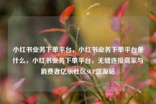 小红书业务下单平台，小红书业务下单平台是什么，小红书业务下单平台，无缝连接商家与消费者亿乐社区SUP货源站