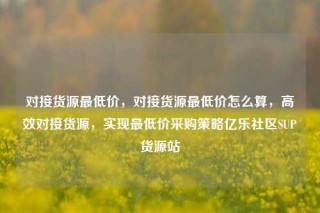 对接货源最低价，对接货源最低价怎么算，高效对接货源，实现最低价采购策略亿乐社区SUP货源站
