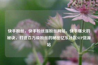 快手粉丝，快手粉丝涨粉丝网站，快手爆火的秘诀，打造百万级粉丝的秘密亿乐社区SUP货源站