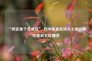 “我定是个受虐狂” 对冲基金资深人士感叹做空美股无比痛苦
