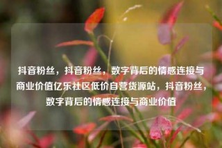 抖音粉丝，抖音粉丝，数字背后的情感连接与商业价值亿乐社区低价自营货源站，抖音粉丝，数字背后的情感连接与商业价值
