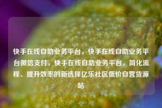 快手在线自助业务平台，快手在线自助业务平台微信支付，快手在线自助业务平台，简化流程、提升效率的新选择亿乐社区低价自营货源站