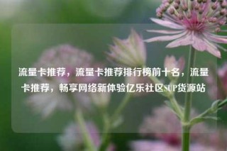 流量卡推荐，流量卡推荐排行榜前十名，流量卡推荐，畅享网络新体验亿乐社区SUP货源站