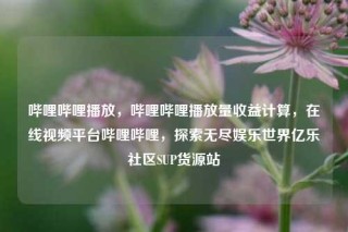 哔哩哔哩播放，哔哩哔哩播放量收益计算，在线视频平台哔哩哔哩，探索无尽娱乐世界亿乐社区SUP货源站