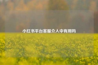 小红书平台客服介入中有用吗