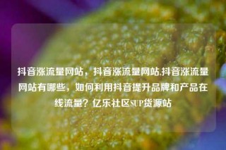 抖音涨流量网站，抖音涨流量网站,抖音涨流量网站有哪些，如何利用抖音提升品牌和产品在线流量？亿乐社区SUP货源站