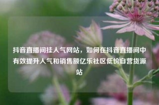 抖音直播间挂人气网站，如何在抖音直播间中有效提升人气和销售额亿乐社区低价自营货源站