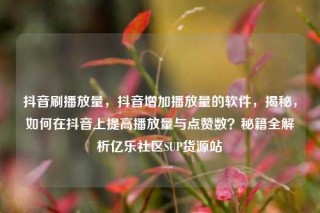 抖音刷播放量，抖音增加播放量的软件，揭秘，如何在抖音上提高播放量与点赞数？秘籍全解析亿乐社区SUP货源站