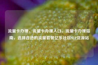 流量卡办理，流量卡办理入口，流量卡办理指南，选择合适的流量套餐亿乐社区SUP货源站