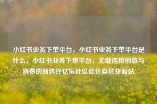 小红书业务下单平台，小红书业务下单平台是什么，小红书业务下单平台，无缝连接创意与消费的新选择亿乐社区低价自营货源站
