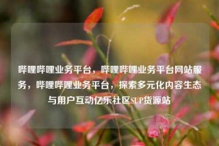 哔哩哔哩业务平台，哔哩哔哩业务平台网站服务，哔哩哔哩业务平台，探索多元化内容生态与用户互动亿乐社区SUP货源站