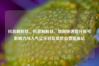 抖音刷粉丝，抖音刷粉丝，如何快速提升账号影响力与人气亿乐社区低价自营货源站
