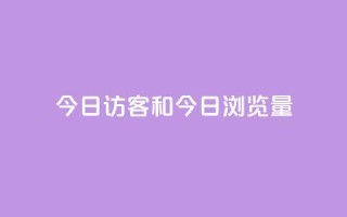 今日访客和今日浏览量,dy业务低价自助下单转发 - QQ点赞网页 - 快手24小时低价下单平台