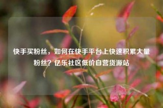 快手买粉丝，如何在快手平台上快速积累大量粉丝？亿乐社区低价自营货源站