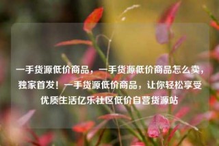 一手货源低价商品，一手货源低价商品怎么卖，独家首发！一手货源低价商品，让你轻松享受优质生活亿乐社区低价自营货源站