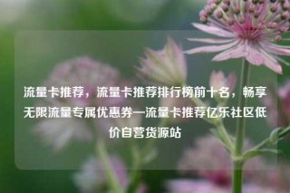 流量卡推荐，流量卡推荐排行榜前十名，畅享无限流量专属优惠券—流量卡推荐亿乐社区低价自营货源站
