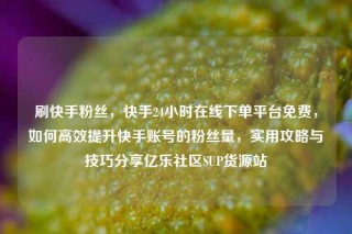 刷快手粉丝，快手24小时在线下单平台免费，如何高效提升快手账号的粉丝量，实用攻略与技巧分享亿乐社区SUP货源站