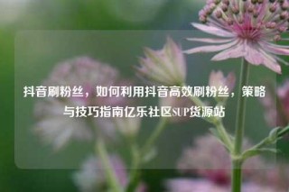 抖音刷粉丝，如何利用抖音高效刷粉丝，策略与技巧指南亿乐社区SUP货源站