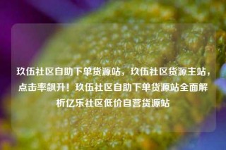 玖伍社区自助下单货源站，玖伍社区货源主站，点击率飙升！玖伍社区自助下单货源站全面解析亿乐社区低价自营货源站