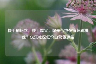快手刷粉丝，快手爆火，你是否也在疯狂刷粉丝？亿乐社区低价自营货源站