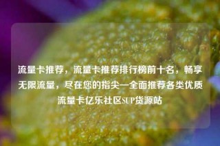 流量卡推荐，流量卡推荐排行榜前十名，畅享无限流量，尽在您的指尖—全面推荐各类优质流量卡亿乐社区SUP货源站