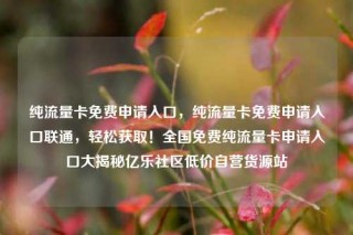 纯流量卡免费申请入口，纯流量卡免费申请入口联通，轻松获取！全国免费纯流量卡申请入口大揭秘亿乐社区低价自营货源站