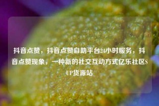 抖音点赞，抖音点赞自助平台24小时服务，抖音点赞现象，一种新的社交互动方式亿乐社区SUP货源站