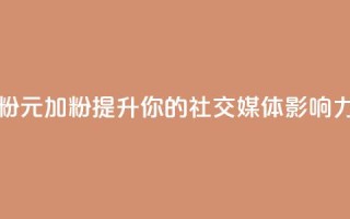 1元增加1000粉 - 1元加1000粉-提升你的社交媒体影响力~