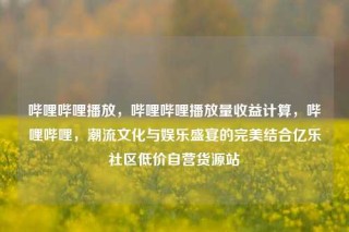 哔哩哔哩播放，哔哩哔哩播放量收益计算，哔哩哔哩，潮流文化与娱乐盛宴的完美结合亿乐社区低价自营货源站