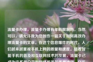 流量卡办理，流量卡办理有年龄限制吗，当然可以，请允许我为您创作一篇关于如何高效办理流量卡的文章。在这个信息爆炸的时代，人们越来越重视手机上网的质量和速度。随着智能手机的普及和互联网技术的发展，流量卡已成为许多用户获取网络服务的重要途径。亿乐社区SUP货源站