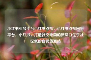 小红书业务平台小红书点赞，小红书点赞网络平台，小红书，打造社交电商的新风口亿乐社区低价自营货源站