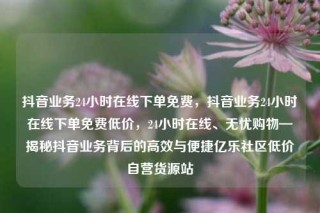 抖音业务24小时在线下单免费，抖音业务24小时在线下单免费低价，24小时在线、无忧购物—揭秘抖音业务背后的高效与便捷亿乐社区低价自营货源站