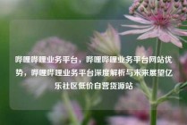 哔哩哔哩业务平台，哔哩哔哩业务平台网站优势，哔哩哔哩业务平台深度解析与未来展望亿乐社区低价自营货源站