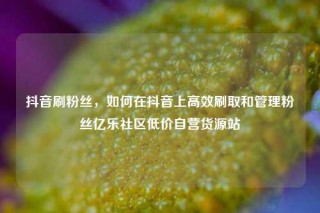 抖音刷粉丝，如何在抖音上高效刷取和管理粉丝亿乐社区低价自营货源站