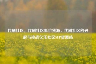 代刷社区，代刷社区低价货源，代刷社区的兴起与挑战亿乐社区SUP货源站