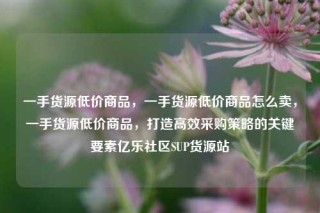 一手货源低价商品，一手货源低价商品怎么卖，一手货源低价商品，打造高效采购策略的关键要素亿乐社区SUP货源站