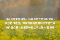 抖音点赞充值链接，抖音点赞充值链接便宜，抖音热门话题，如何获得高赞并轻松充值？揭秘抖音点赞与充值的秘密亿乐社区SUP货源站