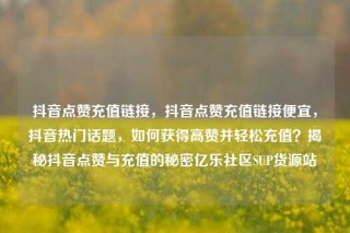 抖音点赞充值链接，抖音点赞充值链接便宜，抖音热门话题，如何获得高赞并轻松充值？揭秘抖音点赞与充值的秘密亿乐社区SUP货源站