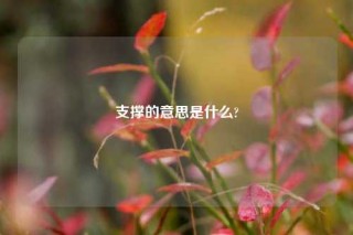 支撑的意思是什么?