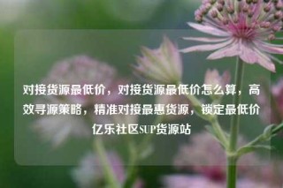 对接货源最低价，对接货源最低价怎么算，高效寻源策略，精准对接最惠货源，锁定最低价亿乐社区SUP货源站