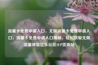 流量卡免费申请入口，无限流量卡免费申请入口，流量卡免费申请入口揭秘，轻松获取无限流量体验亿乐社区SUP货源站