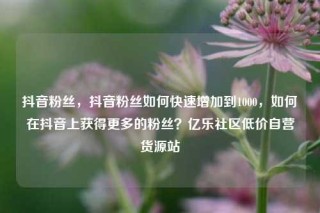 抖音粉丝，抖音粉丝如何快速增加到1000，如何在抖音上获得更多的粉丝？亿乐社区低价自营货源站