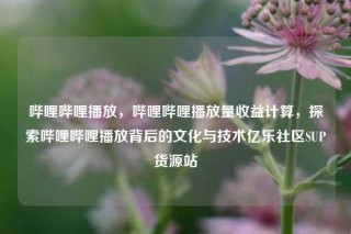 哔哩哔哩播放，哔哩哔哩播放量收益计算，探索哔哩哔哩播放背后的文化与技术亿乐社区SUP货源站