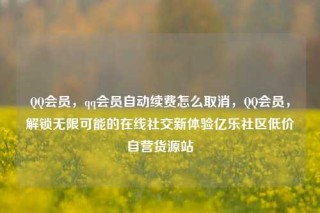 QQ会员，qq会员自动续费怎么取消，QQ会员，解锁无限可能的在线社交新体验亿乐社区低价自营货源站