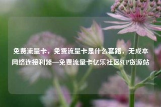 免费流量卡，免费流量卡是什么套路，无成本网络连接利器—免费流量卡亿乐社区SUP货源站